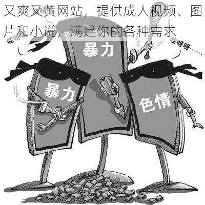 又爽又黄网站，提供成人视频、图片和小说，满足你的各种需求