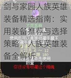 剑与家园人族英雄装备精选指南：实用装备推荐与选择策略，人族英雄装备全解析