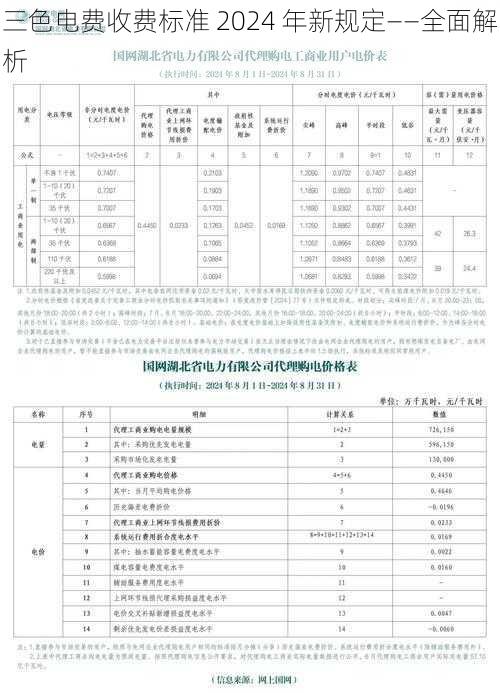 三色电费收费标准 2024 年新规定——全面解析