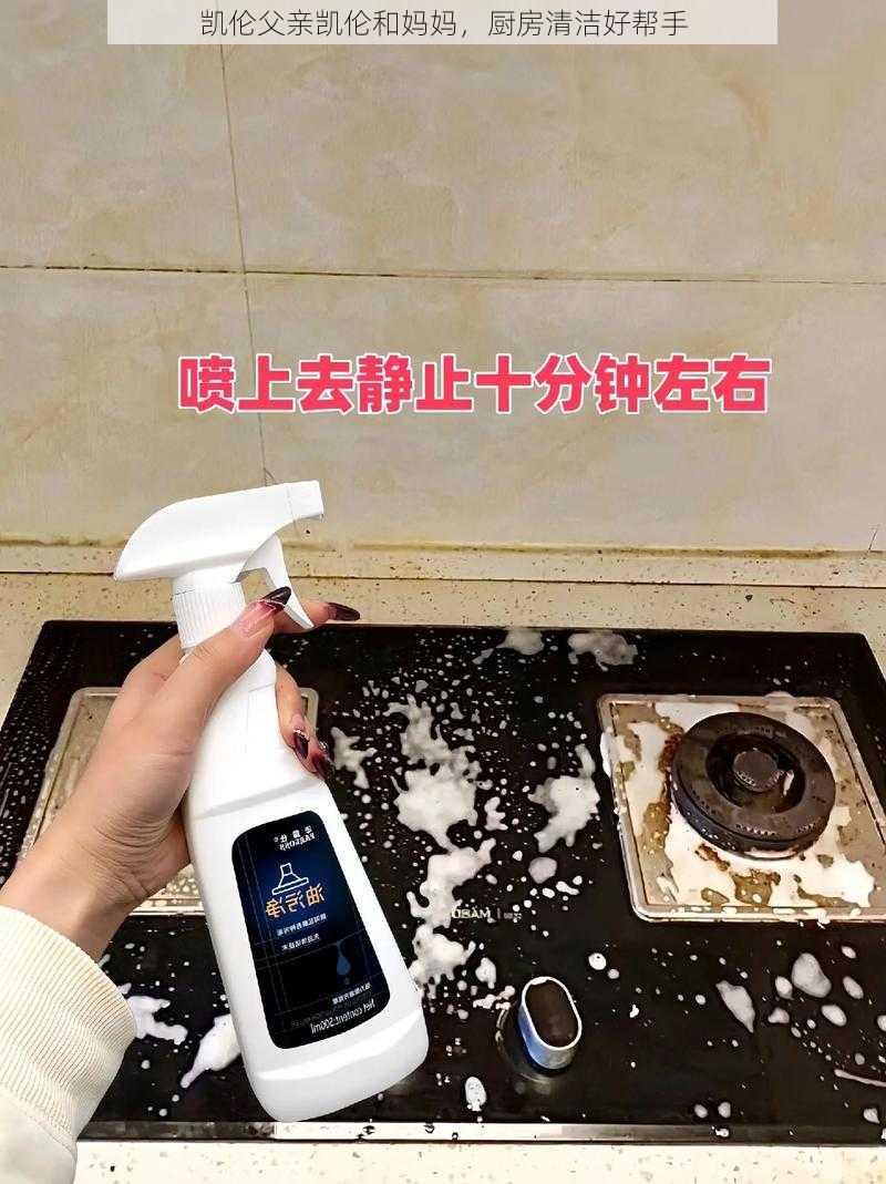 凯伦父亲凯伦和妈妈，厨房清洁好帮手