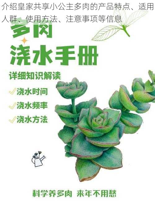 介绍皇家共享小公主多肉的产品特点、适用人群、使用方法、注意事项等信息