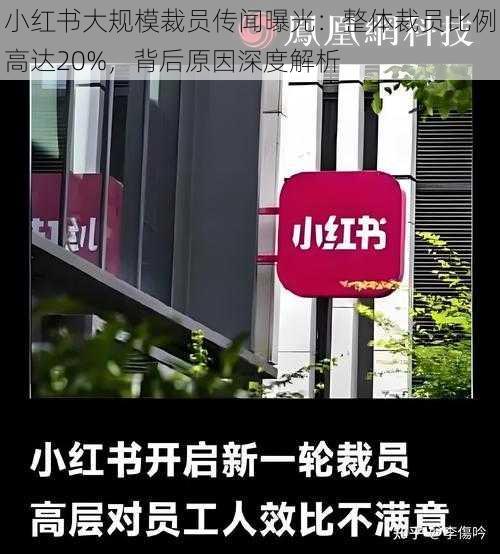 小红书大规模裁员传闻曝光：整体裁员比例高达20%，背后原因深度解析