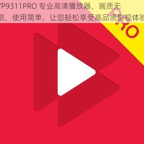 YP9311PRO 专业高清播放器，画质无损，使用简单，让您轻松享受高品质影视体验