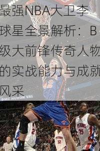 最强NBA大卫李球星全景解析：B级大前锋传奇人物的实战能力与成就风采