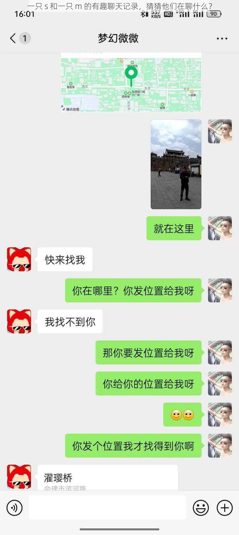 一只 s 和一只 m 的有趣聊天记录，猜猜他们在聊什么？