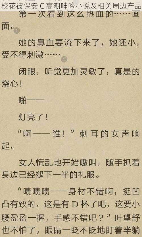 校花被保安 C 高潮呻吟小说及相关周边产品