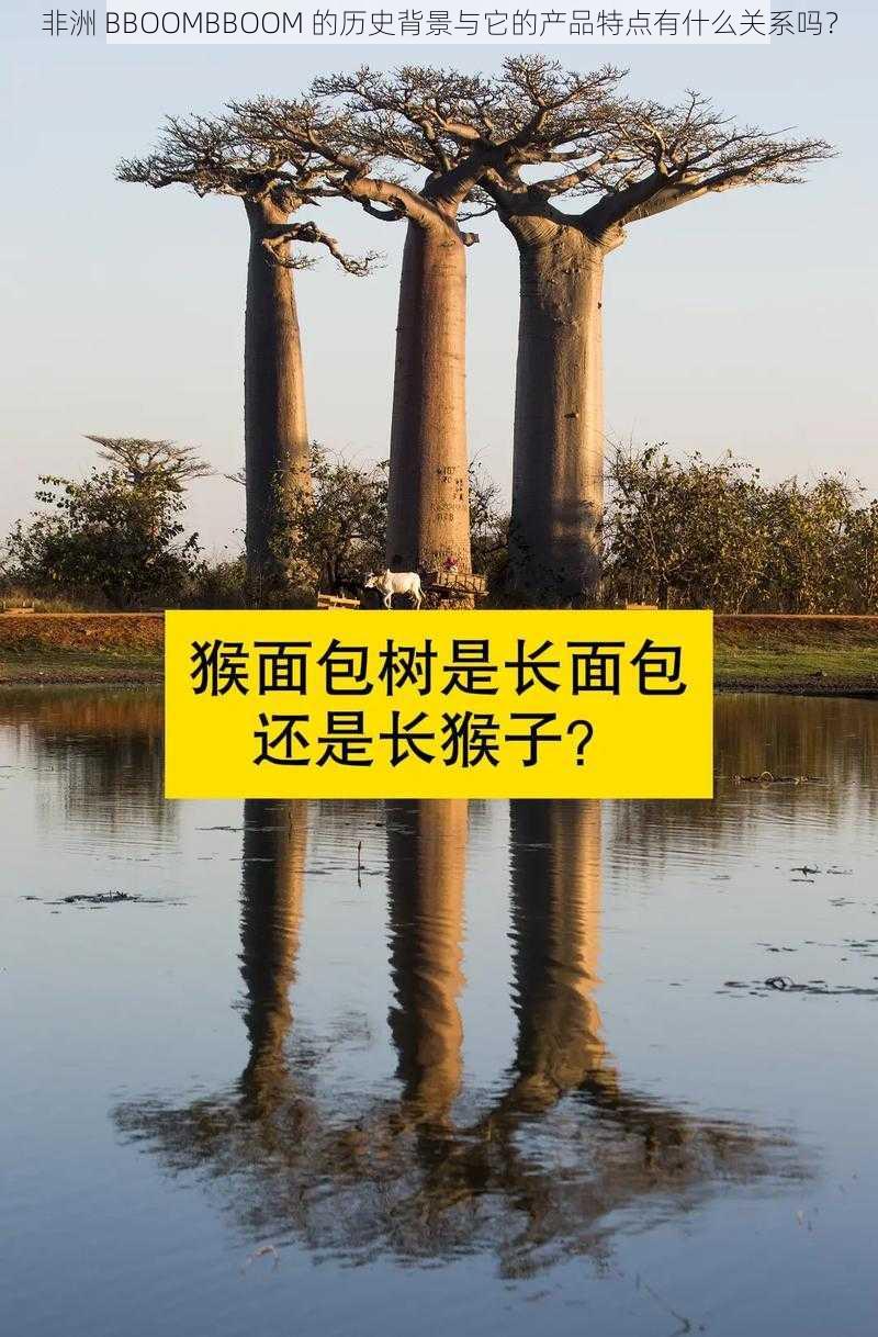 非洲 BBOOMBBOOM 的历史背景与它的产品特点有什么关系吗？