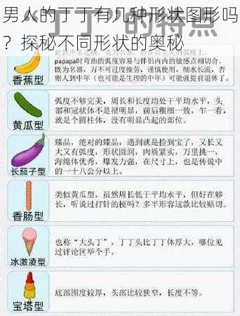 男人的丁丁有几种形状图形吗？探秘不同形状的奥秘