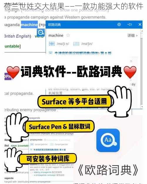 荷兰世姓交大结果——一款功能强大的软件