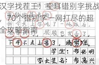 汉字找茬王：空耳错别字挑战，70个错别字一网打尽的超全攻略指南