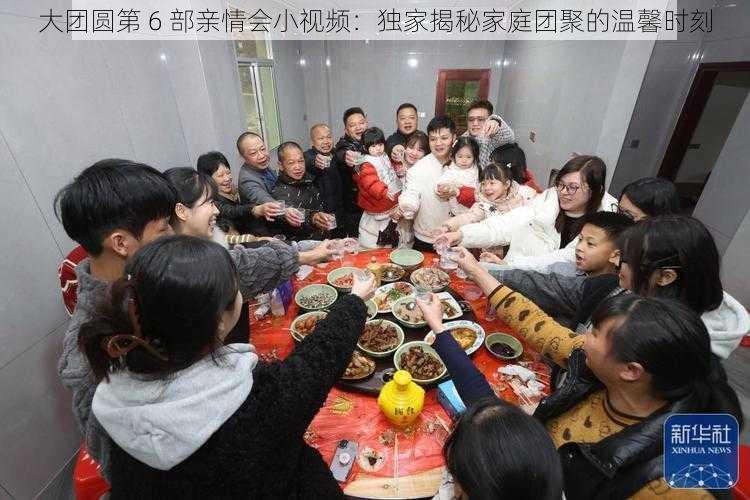 大团圆第 6 部亲情会小视频：独家揭秘家庭团聚的温馨时刻