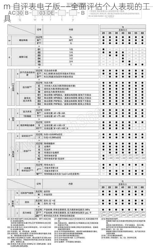 m 自评表电子版——全面评估个人表现的工具