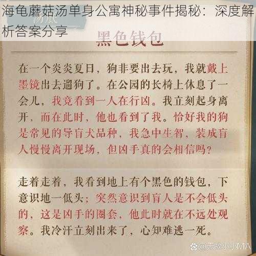 海龟蘑菇汤单身公寓神秘事件揭秘：深度解析答案分享