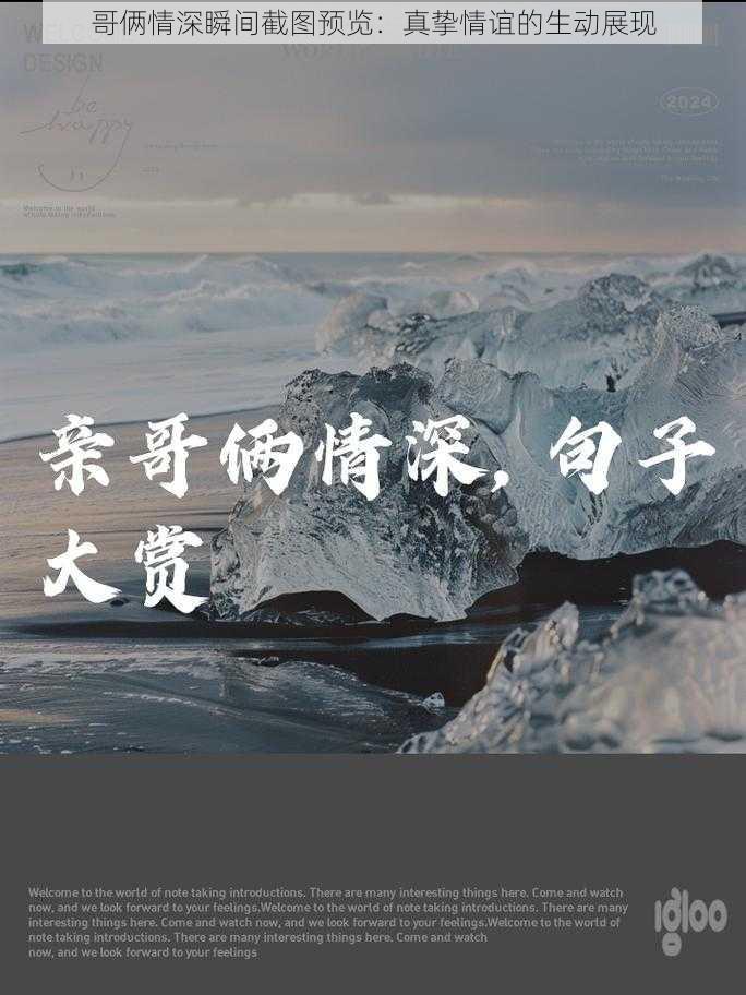 哥俩情深瞬间截图预览：真挚情谊的生动展现