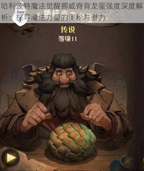 哈利波特魔法觉醒挪威脊背龙蛋强度深度解析：探寻魔法力量的奥秘与潜力