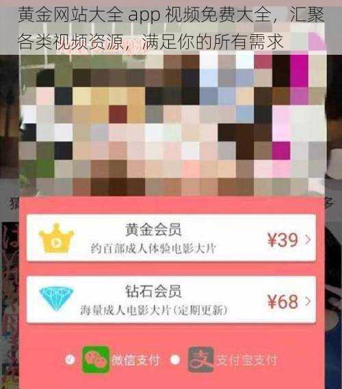 黄金网站大全 app 视频免费大全，汇聚各类视频资源，满足你的所有需求