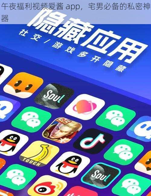 午夜福利视频爱酱 app，宅男必备的私密神器