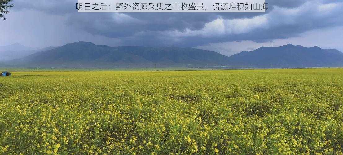 明日之后：野外资源采集之丰收盛景，资源堆积如山海