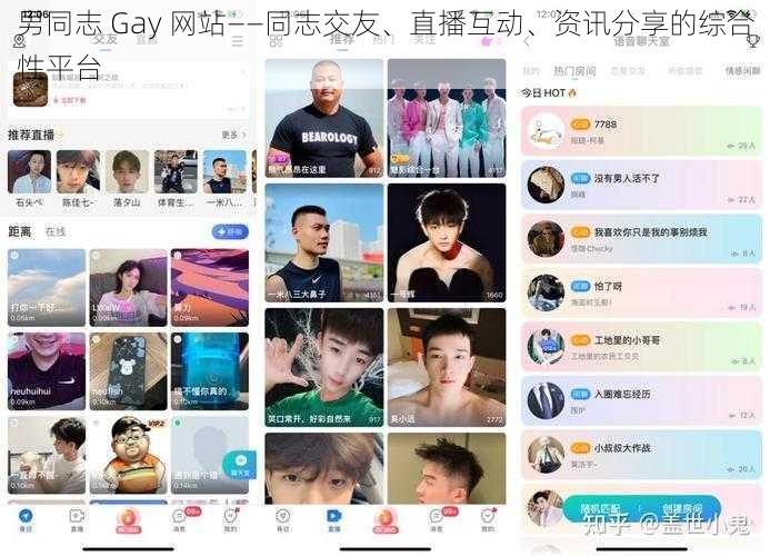 男同志 Gay 网站——同志交友、直播互动、资讯分享的综合性平台