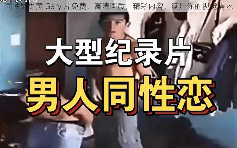 同性男男黄 Gary 片免费，高清画质，精彩内容，满足你的视觉需求