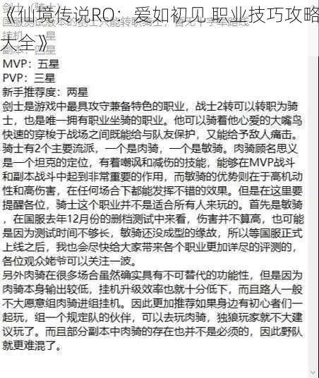 《仙境传说RO：爱如初见 职业技巧攻略大全》