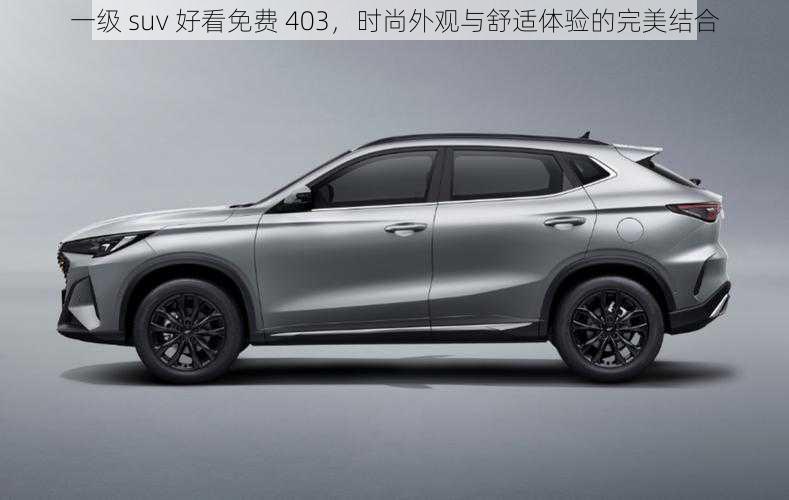 一级 suv 好看免费 403，时尚外观与舒适体验的完美结合