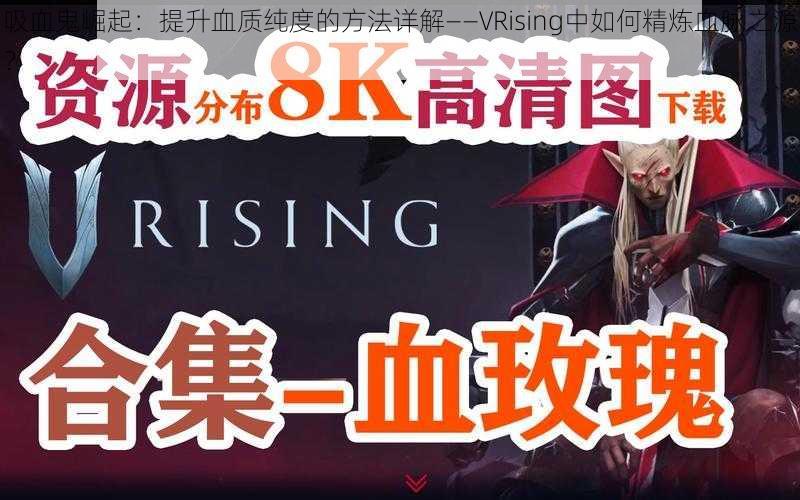 吸血鬼崛起：提升血质纯度的方法详解——VRising中如何精炼血脉之源？