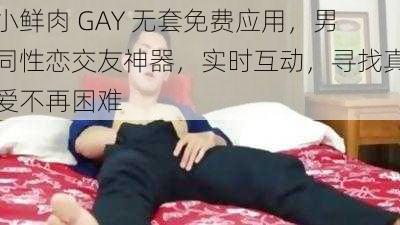 小鲜肉 GAY 无套免费应用，男同性恋交友神器，实时互动，寻找真爱不再困难