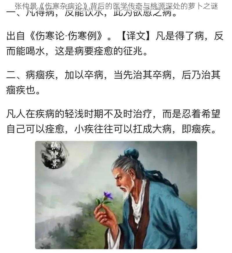 张仲景《伤寒杂病论》背后的医学传奇与桃源深处的萝卜之谜