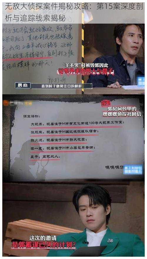 无敌大侦探案件揭秘攻略：第15案深度剖析与追踪线索揭秘