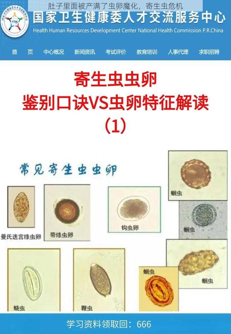 肚子里面被产满了虫卵魔化，寄生虫危机