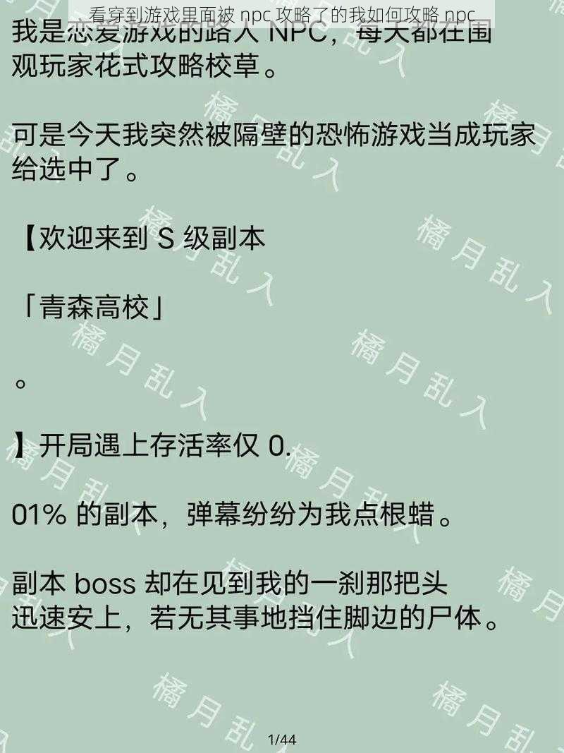 看穿到游戏里面被 npc 攻略了的我如何攻略 npc