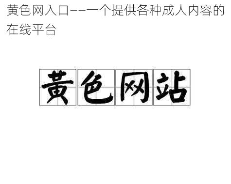 黄色网入口——一个提供各种成人内容的在线平台