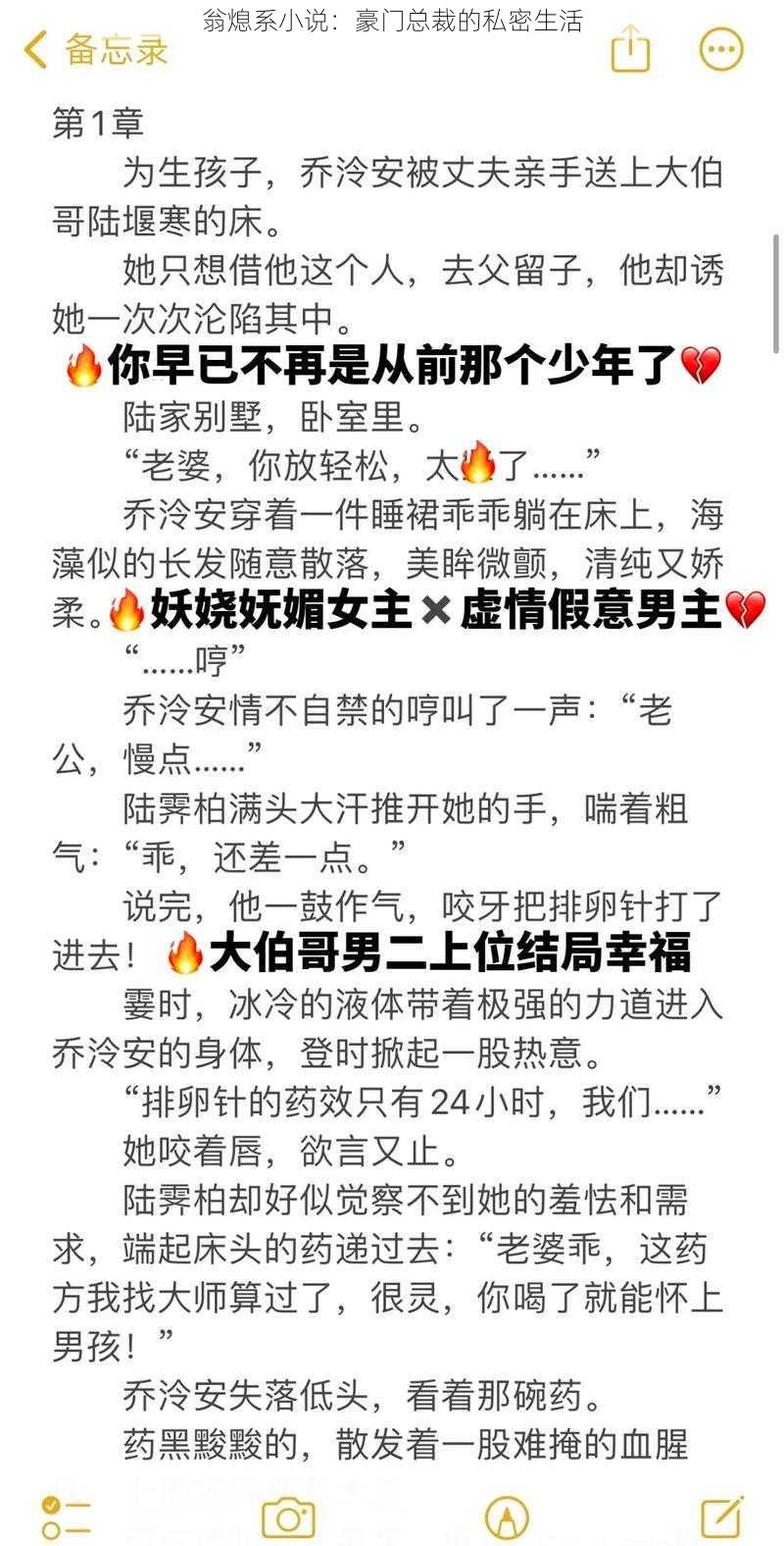 翁熄系小说：豪门总裁的私密生活