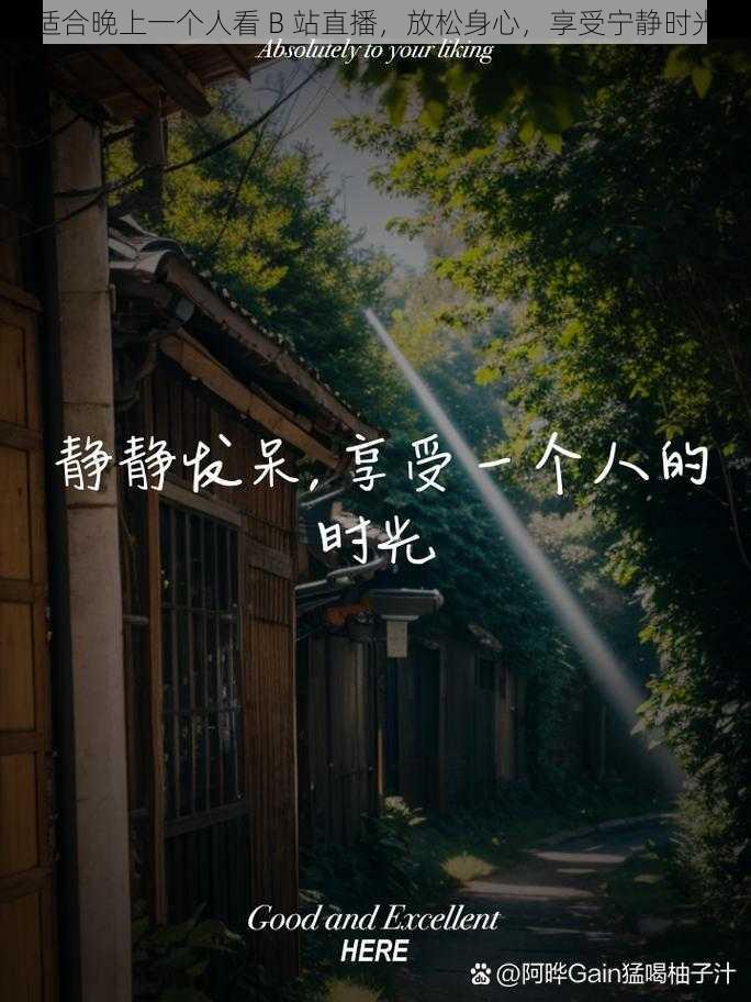 适合晚上一个人看 B 站直播，放松身心，享受宁静时光