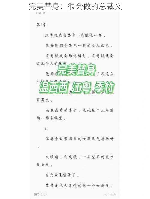 完美替身：很会做的总裁文