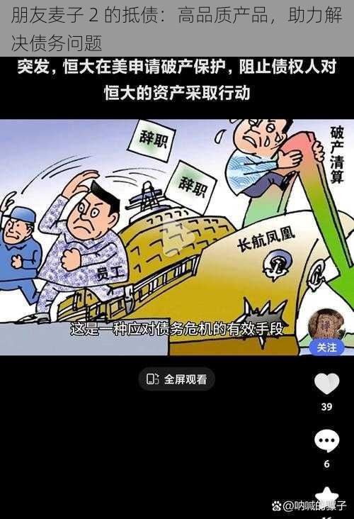 朋友麦子 2 的抵债：高品质产品，助力解决债务问题