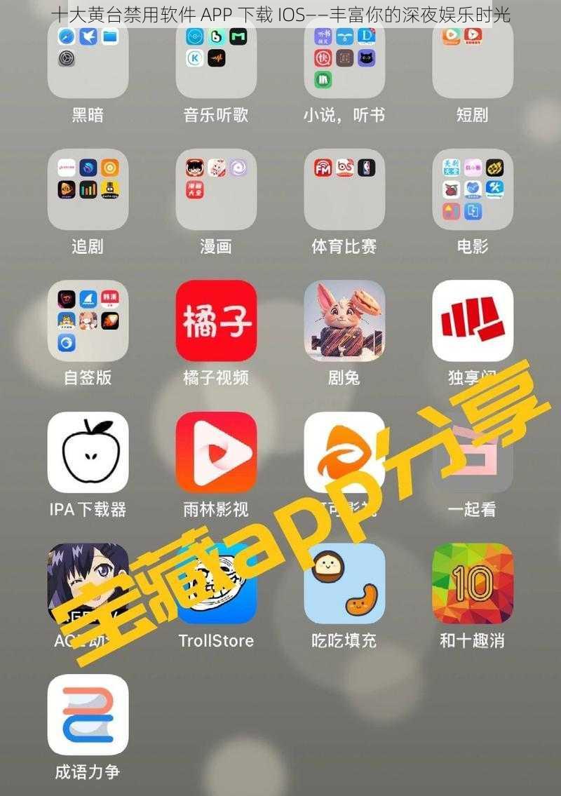 十大黄台禁用软件 APP 下载 IOS——丰富你的深夜娱乐时光