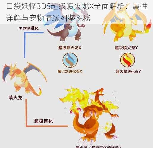 口袋妖怪3DS超级喷火龙X全面解析：属性详解与宠物情缘图鉴探秘