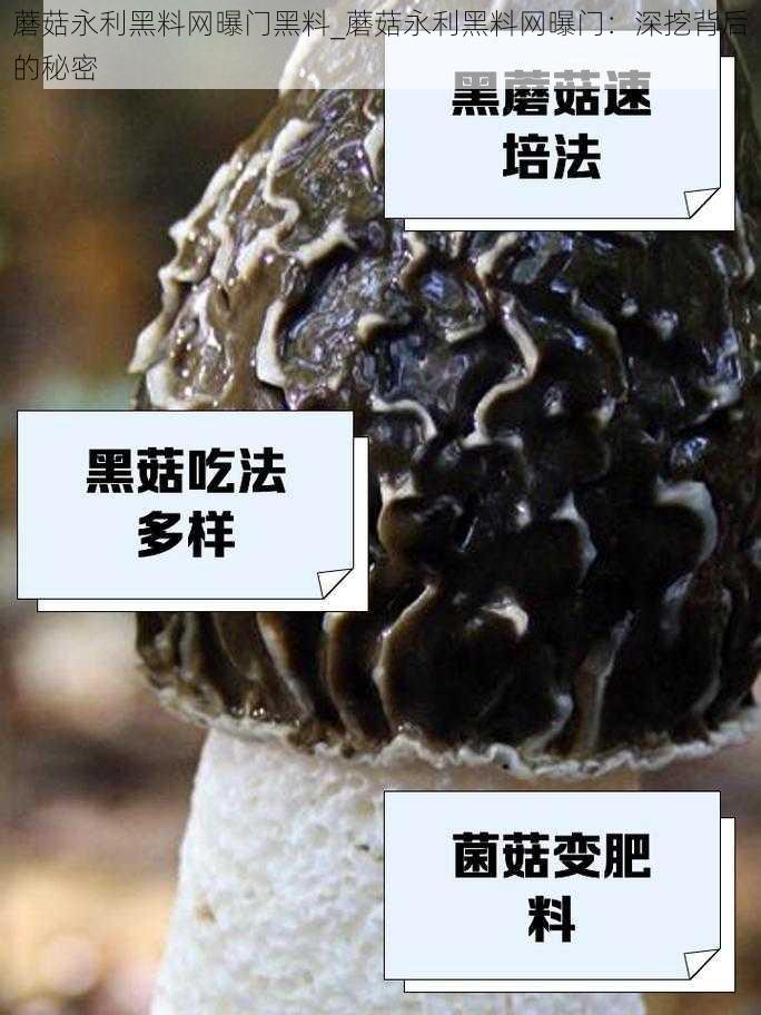 蘑菇永利黑料网曝门黑料_蘑菇永利黑料网曝门：深挖背后的秘密