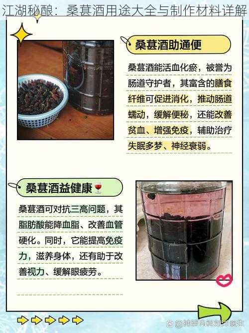 江湖秘酿：桑葚酒用途大全与制作材料详解