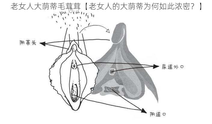 老女人大荫蒂毛茸茸【老女人的大荫蒂为何如此浓密？】