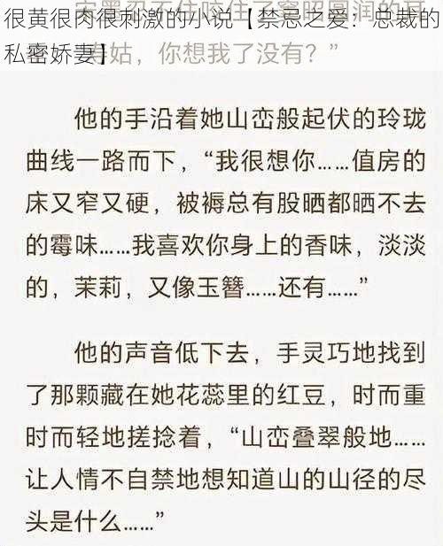 很黄很肉很刺激的小说【禁忌之爱：总裁的私密娇妻】