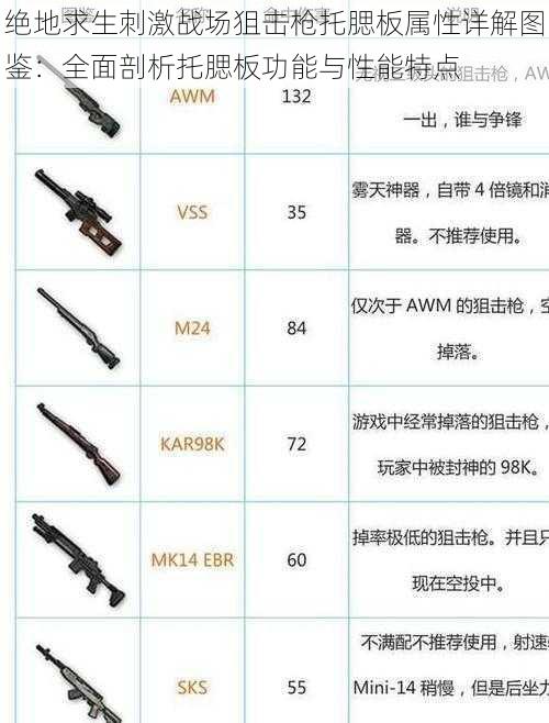 绝地求生刺激战场狙击枪托腮板属性详解图鉴：全面剖析托腮板功能与性能特点