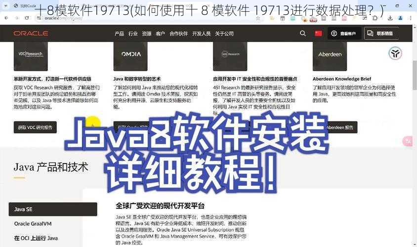 十8模软件19713(如何使用十 8 模软件 19713进行数据处理？)