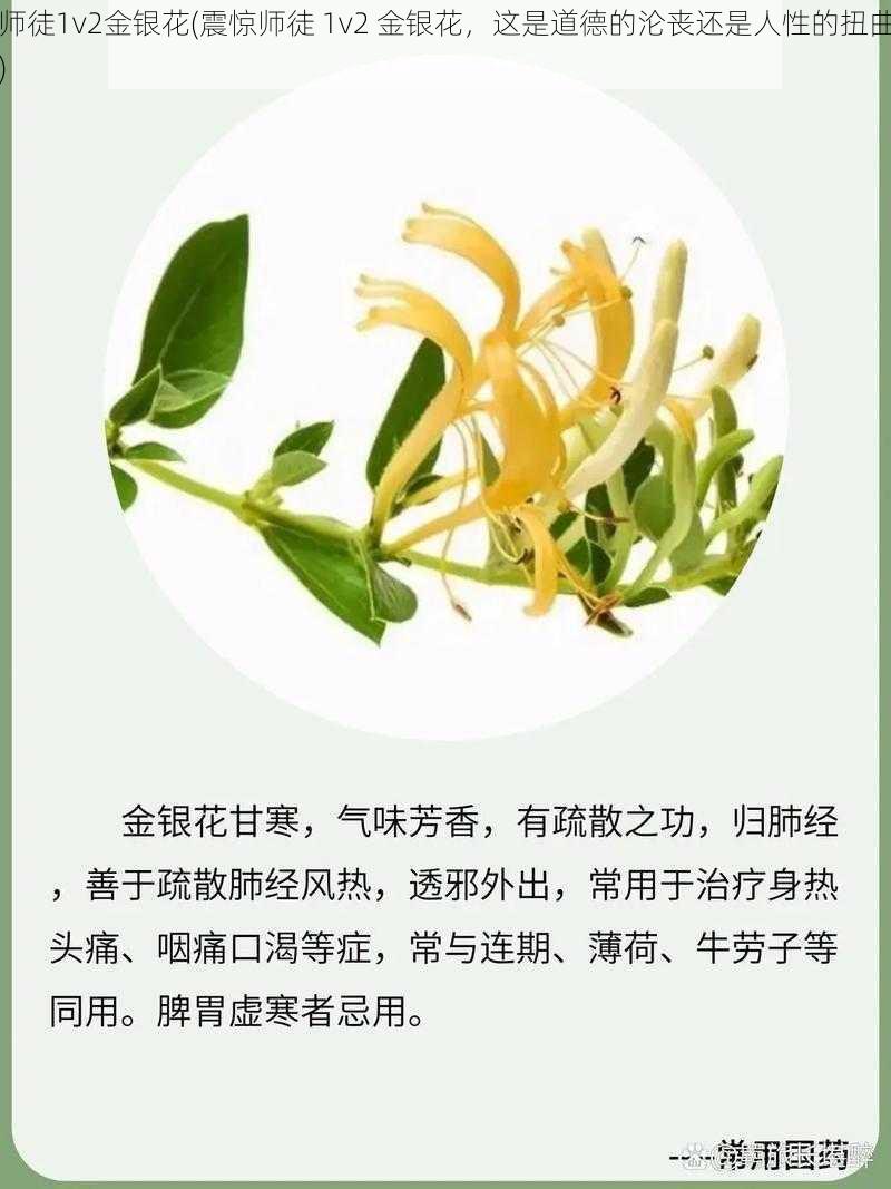 师徒1v2金银花(震惊师徒 1v2 金银花，这是道德的沦丧还是人性的扭曲)