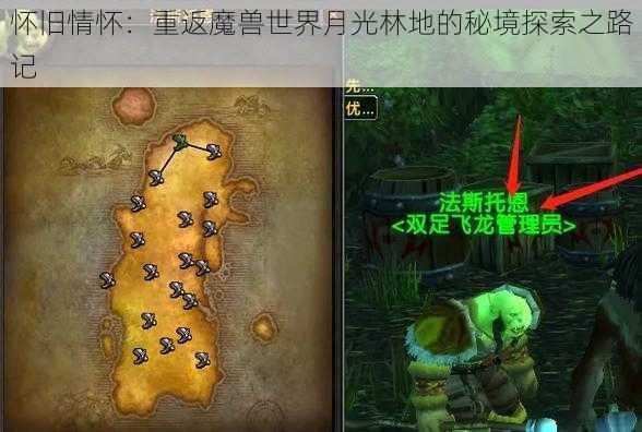 怀旧情怀：重返魔兽世界月光林地的秘境探索之路记