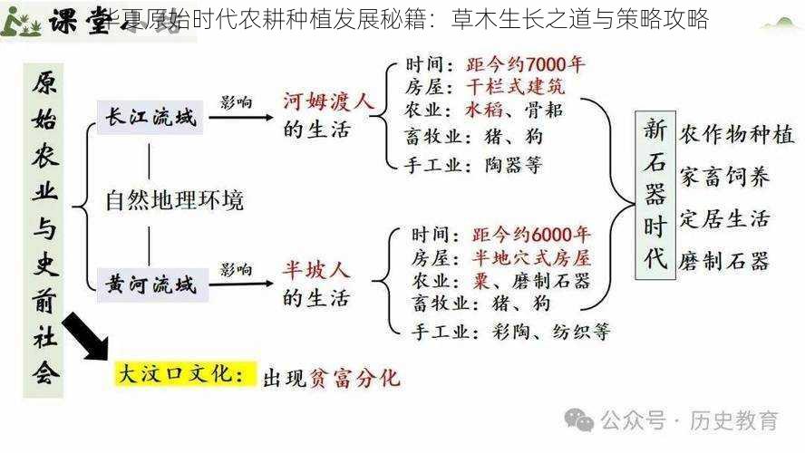 华夏原始时代农耕种植发展秘籍：草木生长之道与策略攻略