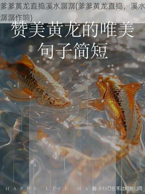 爹爹黄龙直捣溪水潺潺(爹爹黄龙直捣，溪水潺潺作响)