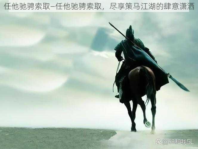 任他驰骋索取—任他驰骋索取，尽享策马江湖的肆意潇洒